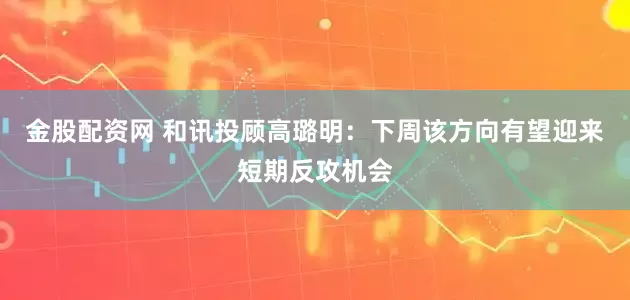 金股配资网 和讯投顾高璐明：下周该方向有望迎来短期反攻机会