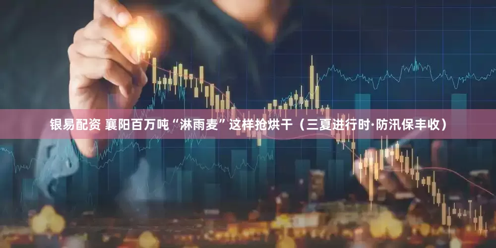 银易配资 襄阳百万吨“淋雨麦”这样抢烘干（三夏进行时·防汛保丰收）