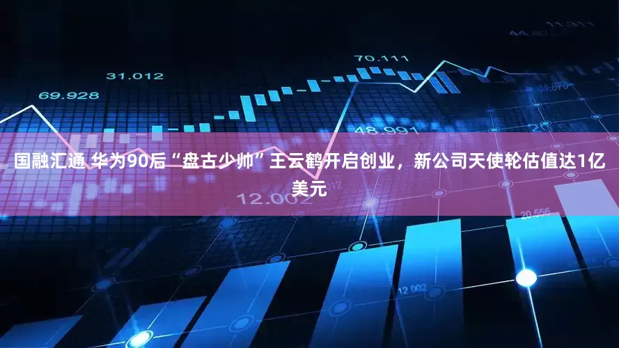国融汇通 华为90后“盘古少帅”王云鹤开启创业，新公司天使轮估值达1亿美元
